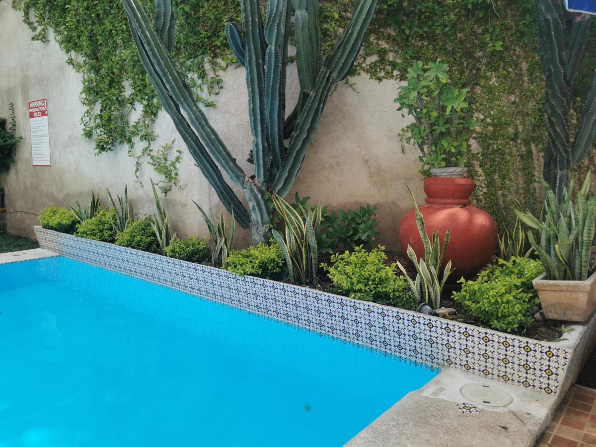 Hotel Las Dalias Inn Merida Exterior photo